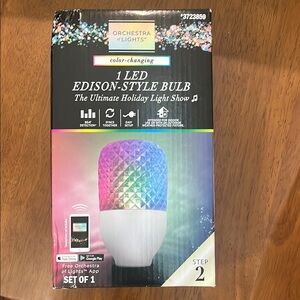 Gemmy LED Light with Color Variations